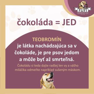 Čokoláda určite nie! ❌🐶 Vedeli ste? Viete vymenovať ešte niektoré potraviny, ktoré sú pre našich štvornohých miláčikov...