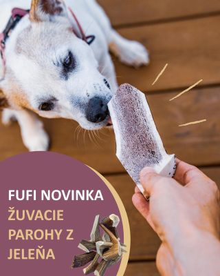 🐶 FUFI NOVINKA ➡️ 100% prírodná žuvacia pochúťka zo zhodov parožia zo slovenských lesov. ➡️ Neobsahuje umelé dochucovadlá,...