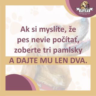 TZV. PSIA MATEMATIKA. Ako by reagoval váš psík? 🐶😁 . . #milujemepsy #milujemepsov #prepsy #prepsikov...