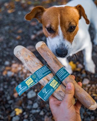 Naša FUFI najväčšia NOVINKA – KÁVOVNÍKOVÉ DREVO. 🐶🥰 ➡️ momentálne veľký hit ➡️ úplne prírodný výrobok na žuvanie pre...