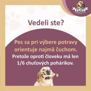 Viete doplniť nejakú inú zaujímavosť o psíkoch? Napíšte nám do komentára, sme zvedaví. 🐶❤️