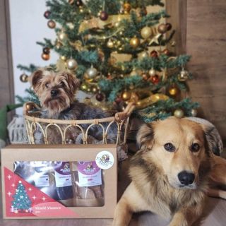 Nezabudli ste na darček pre svojich štvornohých miláčikov? Zabudli? Tak šup, šup, rýchlo to napraviť na náš e-shop...